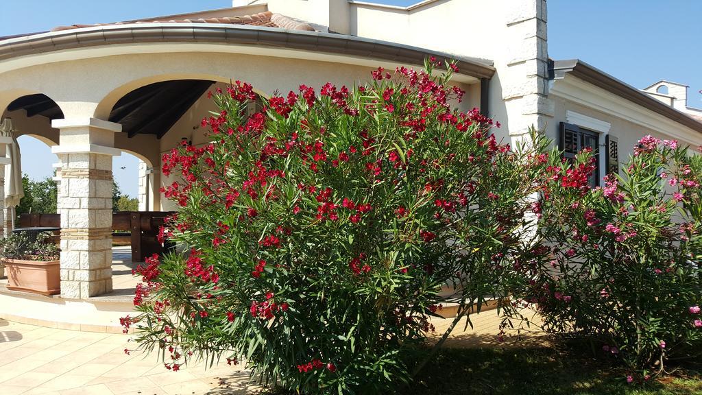 Villa Parenzo Poreč Exterior foto